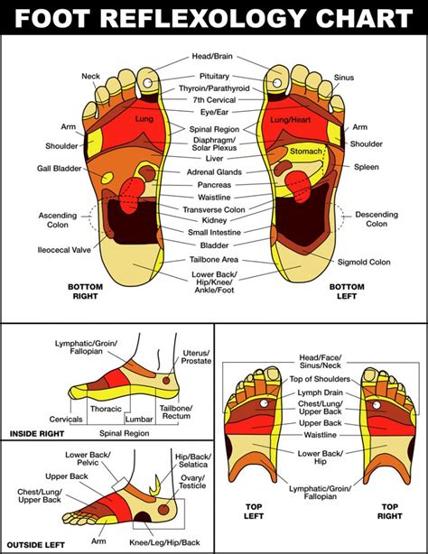 footzo|foot zone therapy definition.